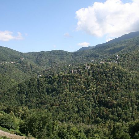 Le Refuge Orezza Piedicroce  Phòng bức ảnh