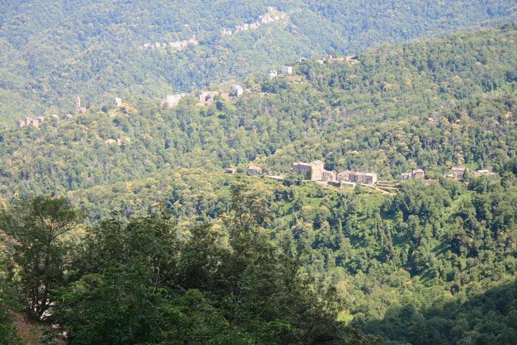 Le Refuge Orezza Piedicroce  Ngoại thất bức ảnh