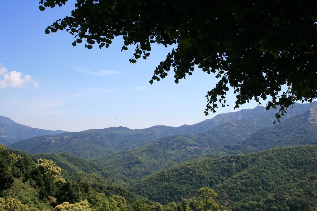 Le Refuge Orezza Piedicroce  Ngoại thất bức ảnh