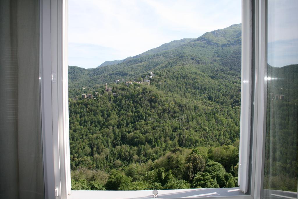 Le Refuge Orezza Piedicroce  Phòng bức ảnh